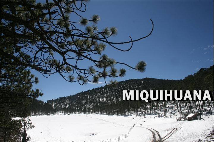 Miquihuana