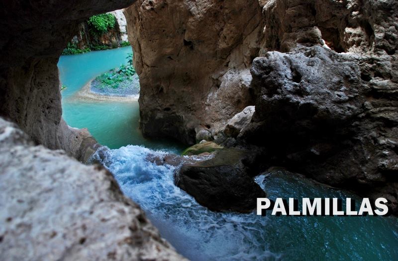 Palmillas
