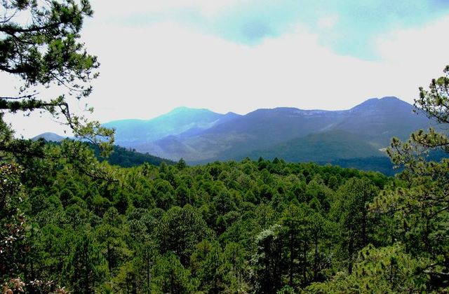 Miquihuana