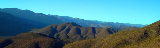 Bustamante