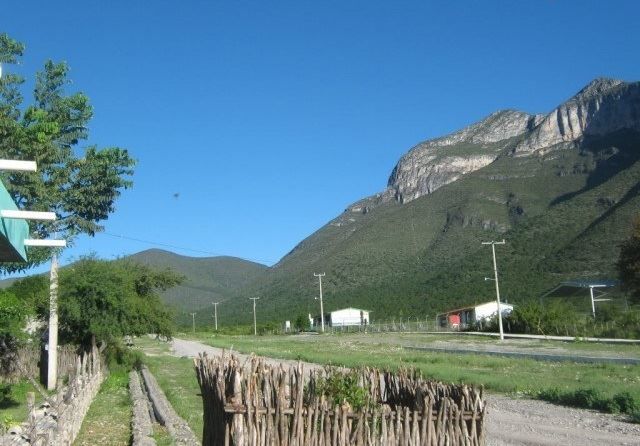 Bustamante